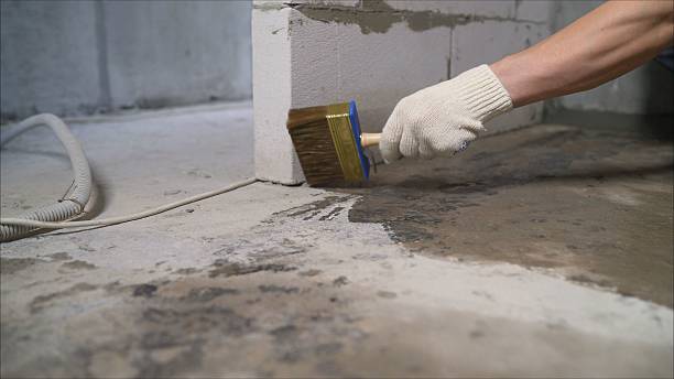 Top rated local Wet Basement Repair specialists in Van Dyne, WI